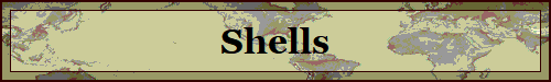 Shells