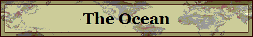 The Ocean